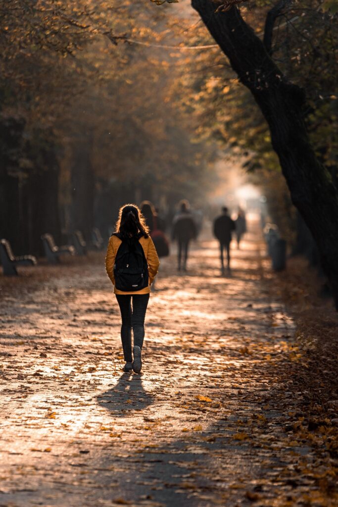 strolling in the woods
