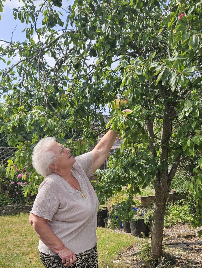 Summer BBQ 2025 - surveying fruit trees in the garden