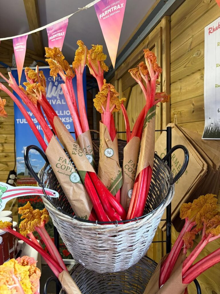 Basket of rhubarb