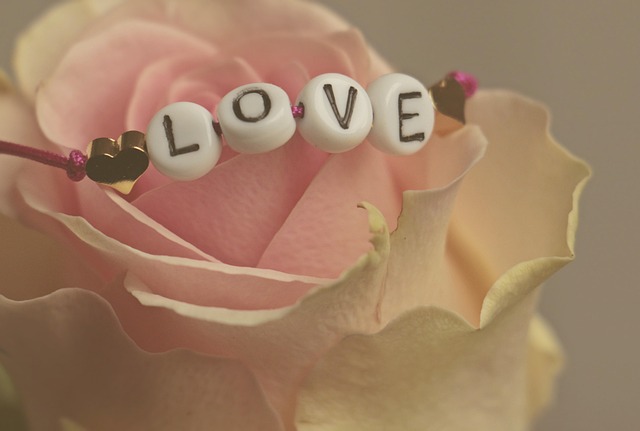 pale pink rose with love beads