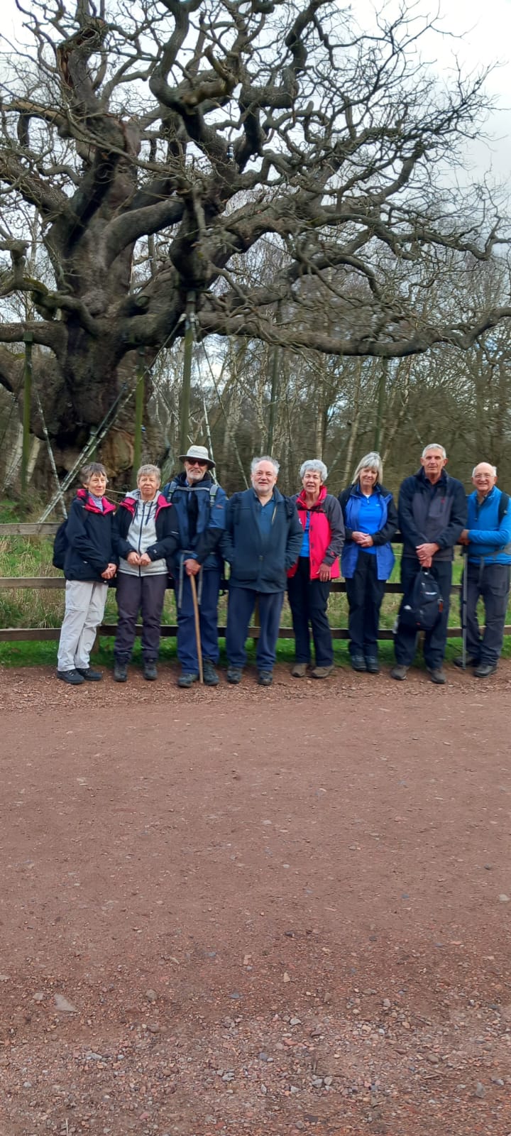 Hikers group photo B for March 2026