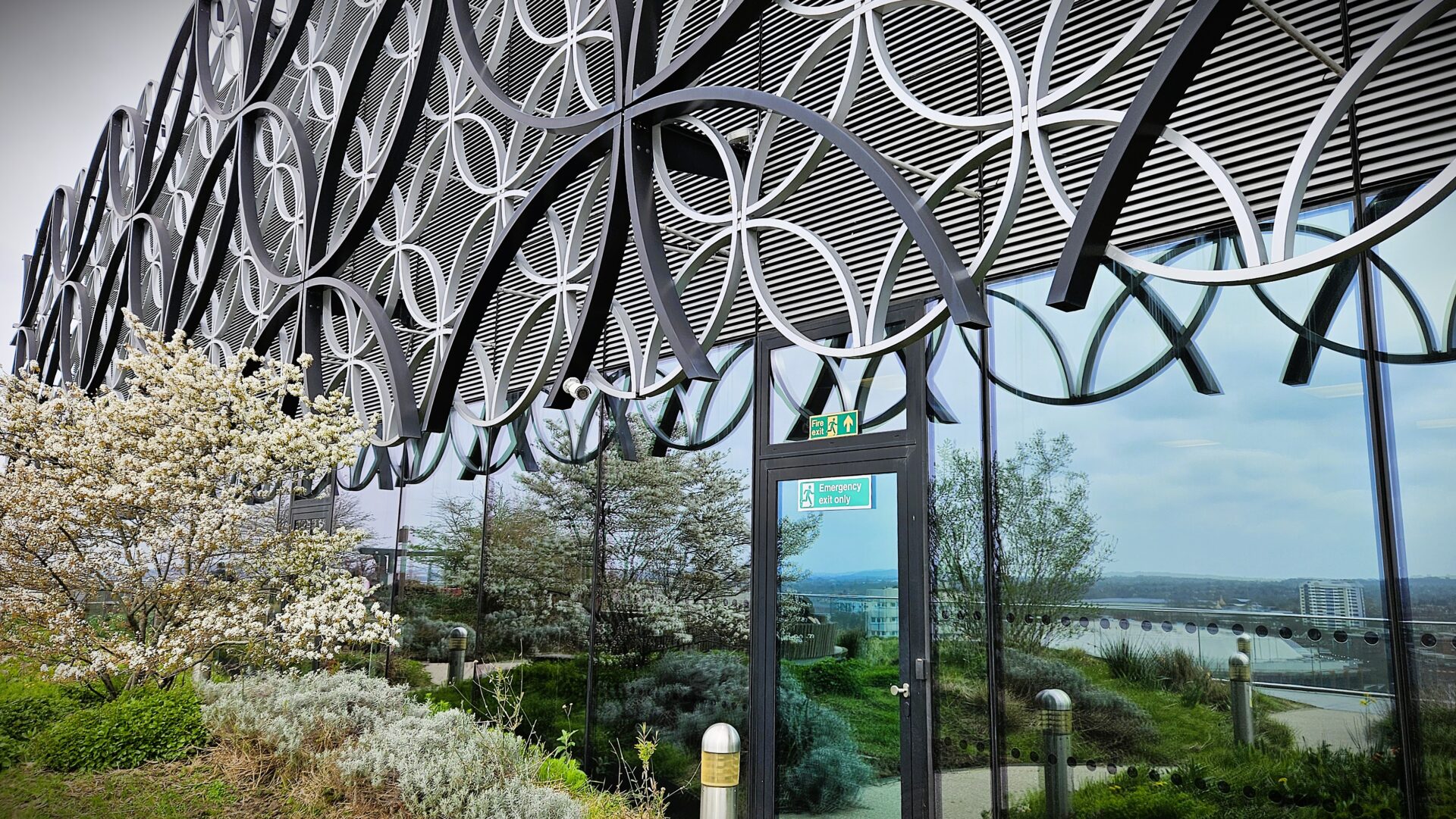 Terry Birmingham Library View