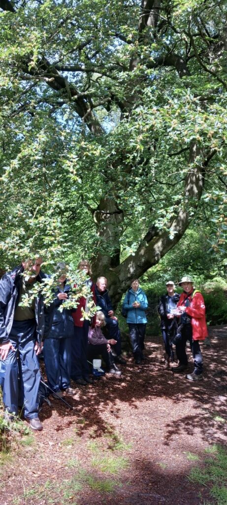 Members of the Hiking Group sheltering under a tree eating lunch
