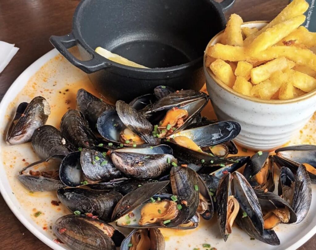 Plate of mussels and fries