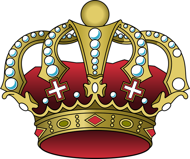 a vector image of a crown